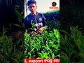 Jay sree ram sad musi  yt traveller officialshort virals vlogspinkuvlogs335