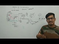 L9: Agarose Gel Electrophoresis for DNA separation and isolation by Vipin Sharma