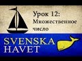 Svenskahavet - Урок 12. Множественное число. (Уроки шведского языка)