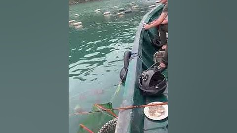 Câu cá giải trí trên biển Vân Đồn Quảng Ninh.