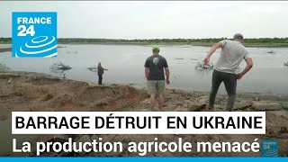Destruction du barrage de Kakhovka : un désastre qui met en péril la production agricole