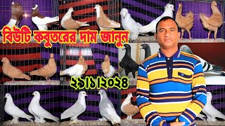 পানির চেয়েও কম দামে কবুতর কিনুন আব্দুল বারী ভাইয়ের খামার থেকে।