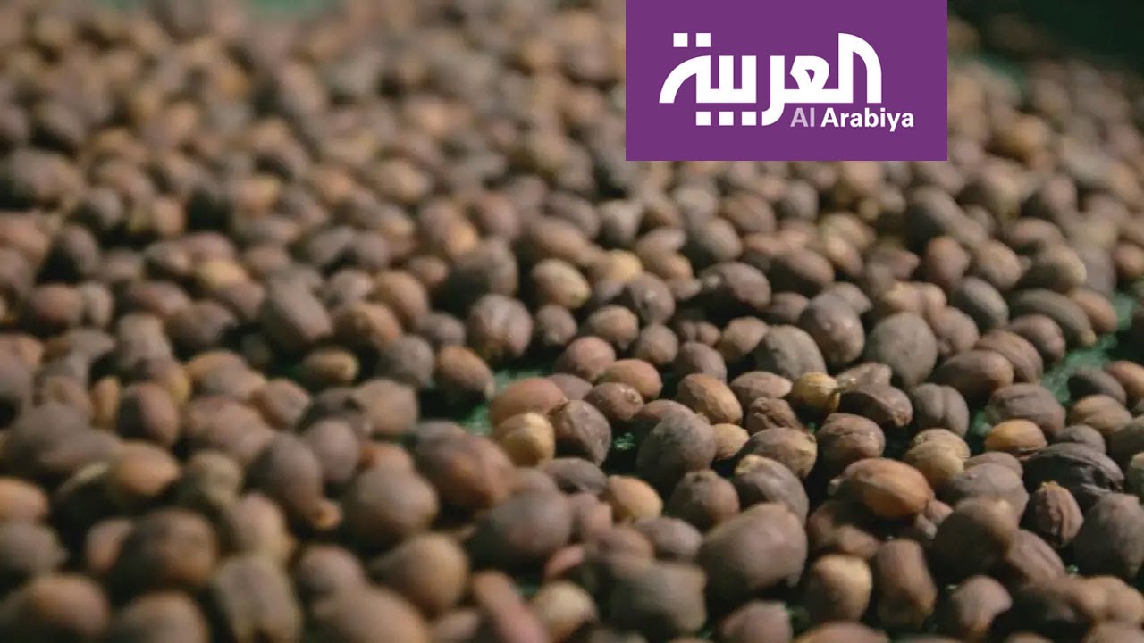 وثائقي | أرامكو .. الوجه الآخر.. وجه آخر لعملاق النفط.. قصة أرامكو مع البن الخولاني بجازان