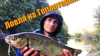 видео: Ловля на Топвотеры!!! Просто и эффективно ловим голавля!!! картинка: Ловля на Топвотеры!!! Просто и эффективно ловим голавля!!!