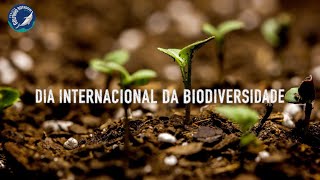 DIA INTERNACIONAL DA BIODIVERSIDADE. 22 DE MAIO.