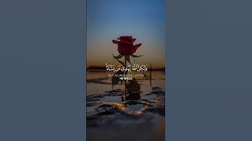 [سورة القصص – الآية 56] القارئ ياسر الدوسري