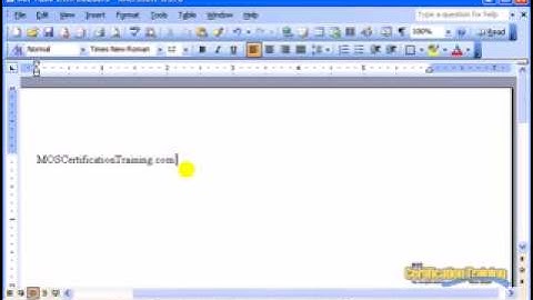 Word 2003 Tabs with Leaders