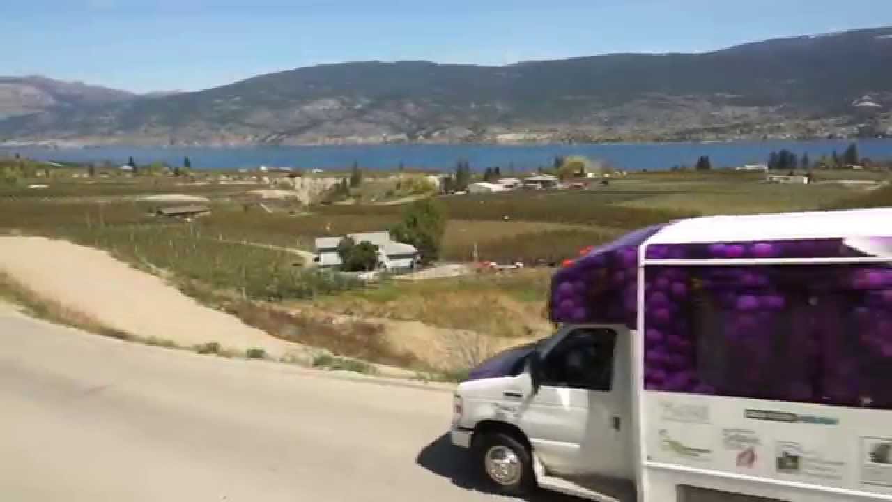 Grape Escapes Wine Tours