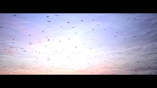 Patrick Hamilton - Infinite Official Video