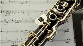 Led Zeppelin - Since I've Been Loving You (instrumental backing track)