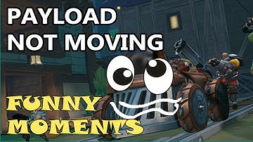 TROLL PAYLOAD IN PALADINS [Funny Moments] Bug (Payload not moving)