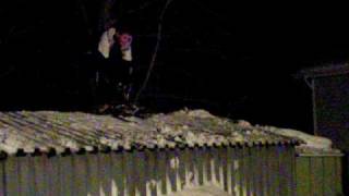 Sledding off the roof