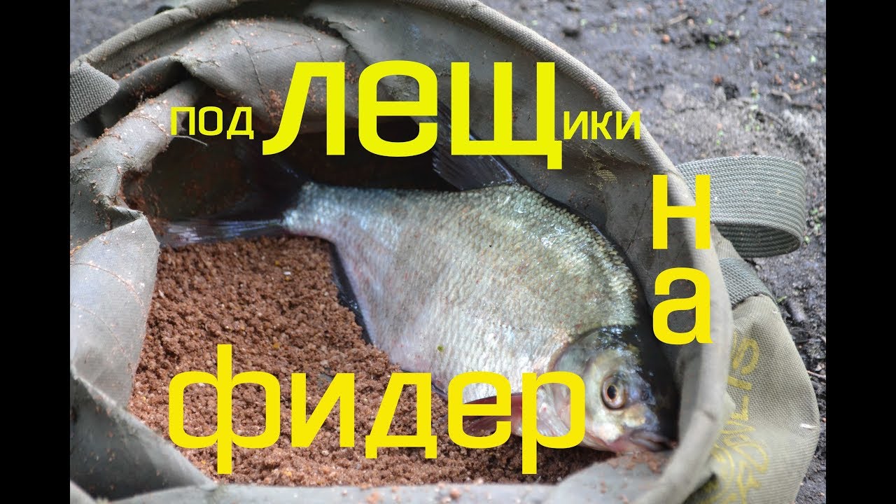 Рыба рвала наживку. На реку с фидером. Рыбалка