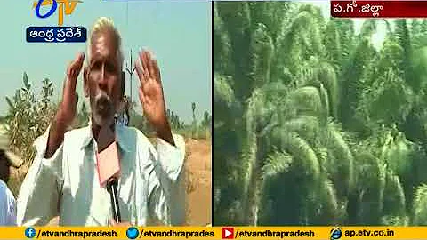 Chintalapudi Lift Irrigation Project Delays on con...