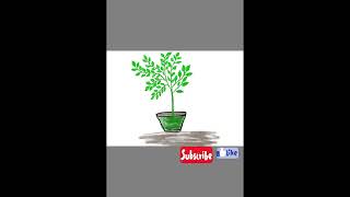 How to draw easy plant 🪴 || digital drawing iPad || step by step plant drawings #kidseasydrawing