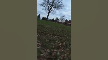 DJI FPV Drone Flying Fast Low & Close Around Trees…