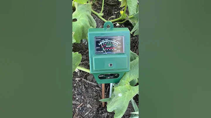 How To Adjust Soil pH