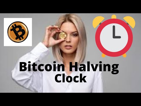 bitcoin havling