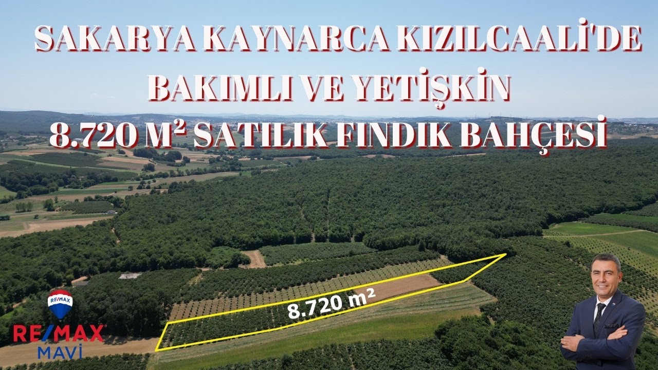 KAYNARCA SATILIK 8.720 M² ARAZİ | KAYNARCA SATILIK 8.720 M² FINDIK BAHÇESİ  | SAKARYA SATILIK TARLA