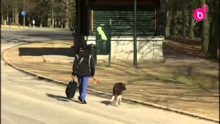 Nouveau règlement d'usage du Bois de la Cambre