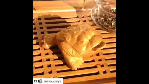 Чайная жаба