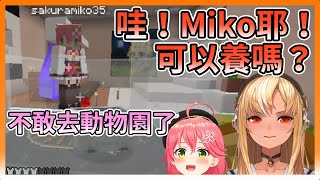 【#mikofla】Flare將Miko當成動物圍起來【hololive｜中文翻譯｜#不知火芙蕾雅｜#不知火フレア｜#櫻巫女｜#さくらみこ｜#SakuraMiko】