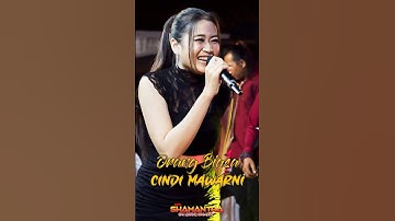 ORANG BIASA - CINDI MAWARNI #NEWSHAMANTHA #ORAGOYANGORAASIK