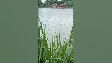 #fishing pha kéo ca hơi cồng kềnh 😁