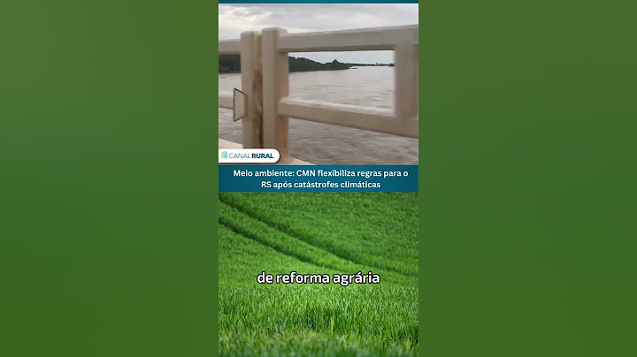 Meio ambiente: CMN flexibiliza regras para o Rio Grande do Sul após catástrofes climáticas