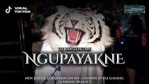FREE FLM‼️DJ BANTENGAN NGUPAYAKNE STYLE MBEROT FYP TIKTOK VELOCITY 🔥FT @DJMBENGPROJECTREAL 