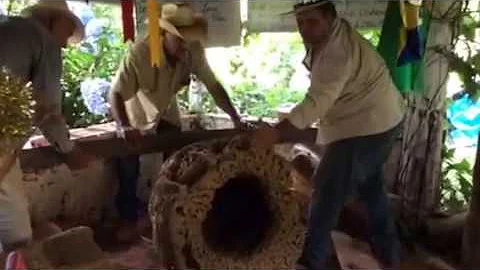 Como fazer um forno de um cupim?