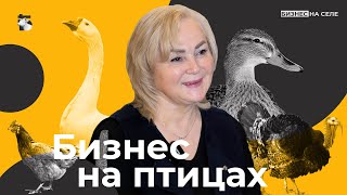 Утки, гуси, куры и индюки. Как прапорщик секретной воинской части создала миллионный бизнес на птице