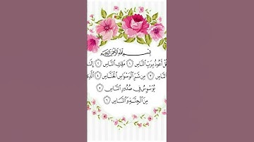سورةالناس🌺#قرآن #اكسبلور #فلسطين #لايك #المصحف #تيك_توك #دعاء #ترند #صلوا_على_النبي #اكسبلورر #الله