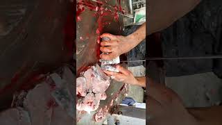 Amazing Fish Cutting By Machine | Big Mrigal Carp Fish Cutting In Fish Market #shorts