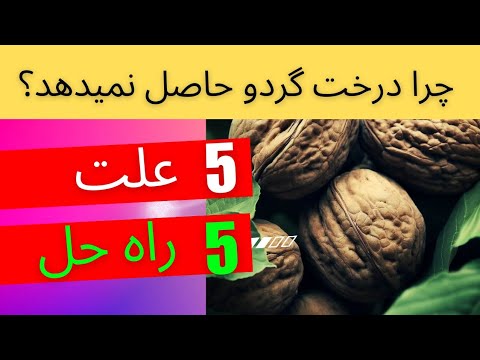 علت حاصل ندادن درخت گردو چرا درخت چهارمغز شما حاصل نمیدهد پنج را حل  