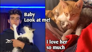 Funny Cats Cute Memes| Cute Funny baby cats Viral compilation| tiktok by INDIE VIRAL CONTENT 8 views 3 years ago 7 minutes