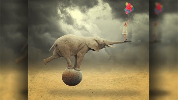 Photoshop Photo Manipulation | Big Elephant