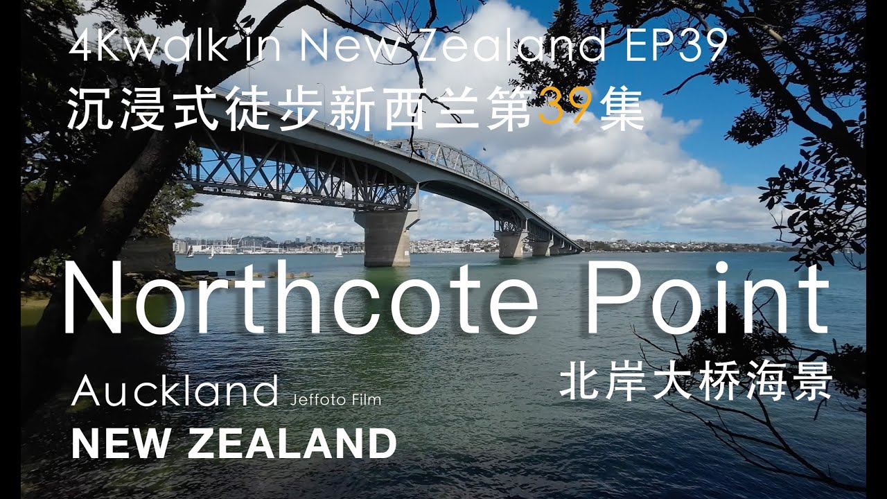 4K Walk in NZ EP39 - Auckland Northcote Point bridge and City view沉浸式徒步 ...