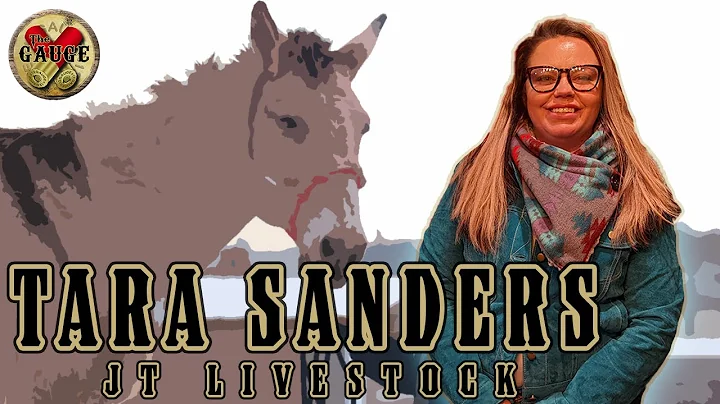 JT Livestock's Tara Sanders - The Gauge #115