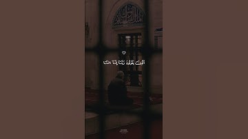 تلاوة هادئة ومؤثرة بصوت الشيخ ماهر المعيقلي ارح سمعك ♡ #ماهر_المعيقلي #short