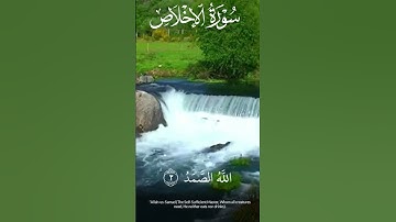 سورة الإخلاص بي صوت الشيخ محمد علي Surah Al-Ikhlas Sheikh Muhammad Ali #الشيخ_محمد_علي #quran #قرآن