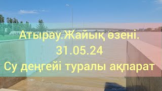 Атырау.Жайық өзені.31.05.24.Су деңгейі туралы ақпарат.