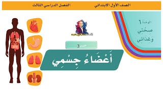 لغتي | أعضاء جسمي | قراءة + حل أسئلة الدرس| الصف الأول الابتدائي | الفصل الدراسي الثالث | 1444