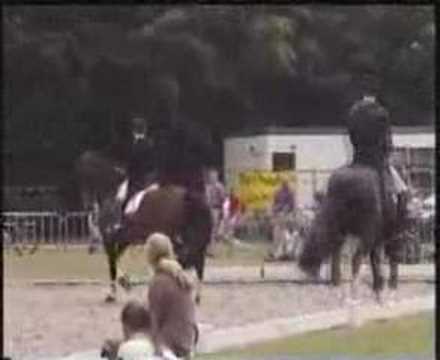 documentation hyperflexion clip 4b