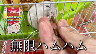 【検証】ハムスターはひかりハムハムを何粒まで食べるのか！？