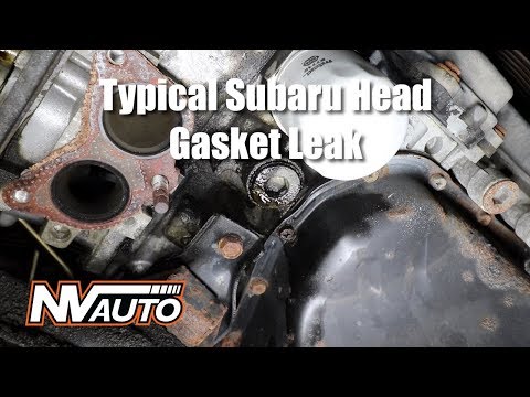 How to diagnose a external Subaru head gasket leak