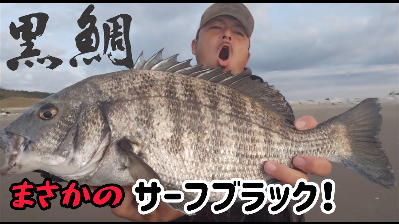 まさか まさかのハウルで黒鯛が釣れた 秋のサーフゲーム Youtube