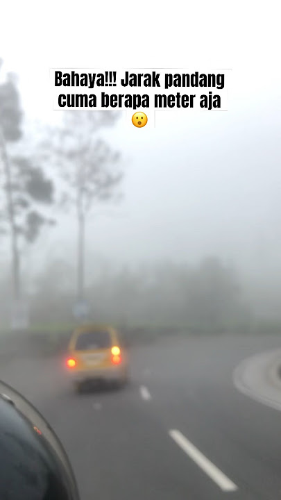 Kabut tebal di wonosobo #fyp #foryou #fypシ゚viral #viralvideo #travel #wonosobo