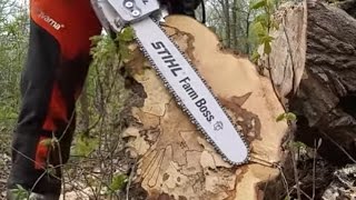 Ms 271 Farm Boss Stihl Review Youtube