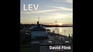 David Flink- Lev